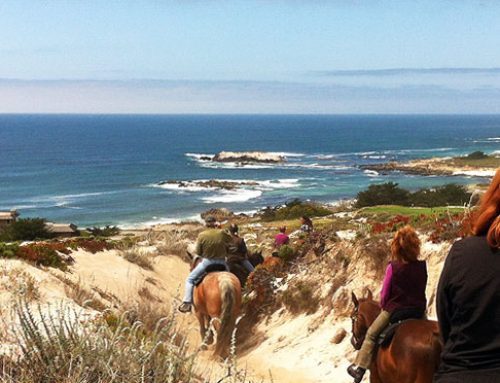 Historic Coastal Trails from Sea Side to the High Dessert